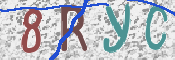 この文字を入力してください