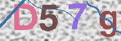 この文字を入力してください