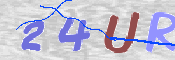 この文字を入力してください