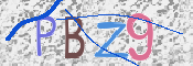 この文字を入力してください