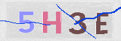 この文字を入力してください