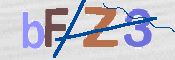 この文字を入力してください