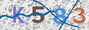 この文字を入力してください