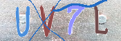 この文字を入力してください