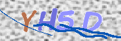 この文字を入力してください