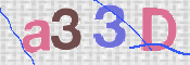 この文字を入力してください