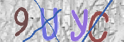 この文字を入力してください