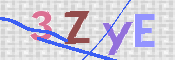 この文字を入力してください
