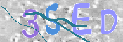 この文字を入力してください
