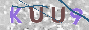 この文字を入力してください