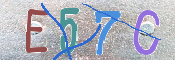 この文字を入力してください