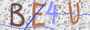 この文字を入力してください