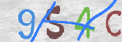 この文字を入力してください