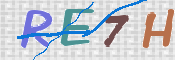 この文字を入力してください