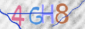 この文字を入力してください