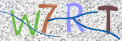この文字を入力してください