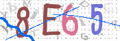 この文字を入力してください