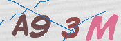 この文字を入力してください