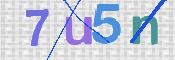 この文字を入力してください