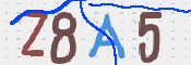 この文字を入力してください