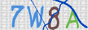 この文字を入力してください