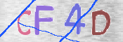 この文字を入力してください
