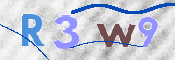 この文字を入力してください