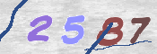 この文字を入力してください
