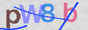 この文字を入力してください