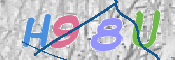 この文字を入力してください