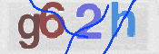 この文字を入力してください