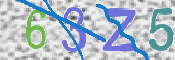 この文字を入力してください