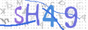 この文字を入力してください