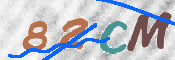 この文字を入力してください