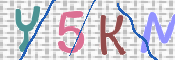この文字を入力してください