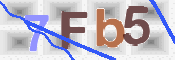 この文字を入力してください