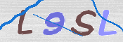 この文字を入力してください