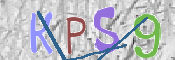 この文字を入力してください