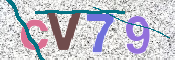 この文字を入力してください