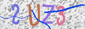 この文字を入力してください