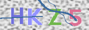 この文字を入力してください
