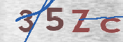 この文字を入力してください