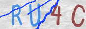 この文字を入力してください