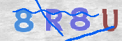 この文字を入力してください