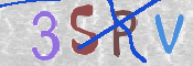 この文字を入力してください