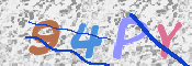この文字を入力してください