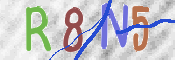 この文字を入力してください