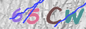 この文字を入力してください