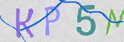 この文字を入力してください