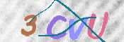 この文字を入力してください